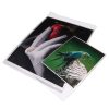 Print File Print File Bopp811 - 8.5X11 In. Clear Bags (Pack Of 100) Portfolios & Archival Storage