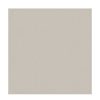 Savage Savage Widetone Seamless Background Paper (#12 Studio Gray, 107 In. X 36 Ft.) Paper Backgrounds