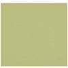 Westcott Westcott 8 X 8 Ft. Wrinkle-Resistant Backdrop (Light Moss Green) Fabric Backgrounds