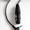 PSC Psc Female Xlr To Male Mini Mic Cable Audio Cables