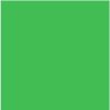 RPS Studio Rps Studio 10' X 10' Cloth Muslin Photography Background (Choma Key Green) Chroma Key Backgrounds