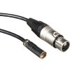 Blackmagic Design Blackmagic Design Set Of 2 Mini Xlr To Xlr Audio Cables For Video Assist 4K (19.5 In.) Audio Cables