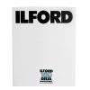 Ilford Ilford Delta 100 B&W Negative Film, 4 X 5" 25 Sheets Film & Darkroom