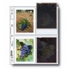 Print File Print File 45-4Bpol Negative Pages (Pack Of 100) Portfolios & Archival Storage