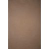 Gravity Backdrops Gravity Backdrops 8.9 X 9.8 Ft. Hand Painted Classic Collection Canvas Low Texture Backdrop (Beige) Fabric Backgrounds